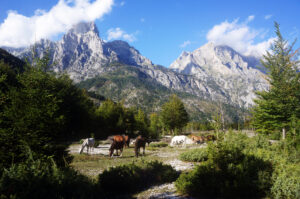 Albania, Kosovo and North-Macedonia