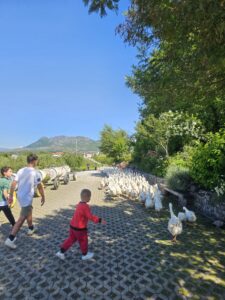 2-week family Albania